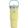 imageStanley IceFlow 20 Flip Straw Tumbler with Handle 30 oz  Twist On Lid and Flip Up Straw  Leak Resistant Water Bottle  Insulated Stainless Steel  BPAFree  ToastPomelo