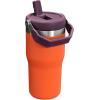 imageStanley IceFlow 20 Flip Straw Tumbler with Handle 30 oz  Twist On Lid and Flip Up Straw  Leak Resistant Water Bottle  Insulated Stainless Steel  BPAFree  ToastTigerlily Plum