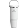 imageStanley IceFlow 20 Flip Straw Tumbler with Handle 30 oz  Twist On Lid and Flip Up Straw  Leak Resistant Water Bottle  Insulated Stainless Steel  BPAFree  ToastFrost