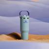 imageStanley IceFlow 20 Flip Straw Tumbler with Handle 30 oz  Twist On Lid and Flip Up Straw  Leak Resistant Water Bottle  Insulated Stainless Steel  BPAFree  ToastExclusive Blue Catus