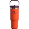 imageStanley IceFlow 20 Flip Straw Tumbler with Handle 30 oz  Twist On Lid and Flip Up Straw  Leak Resistant Water Bottle  Insulated Stainless Steel  BPAFree  ToastTigerlily Plum