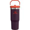 imageStanley IceFlow 20 Flip Straw Tumbler with Handle 30 oz  Twist On Lid and Flip Up Straw  Leak Resistant Water Bottle  Insulated Stainless Steel  BPAFree  ToastPlum
