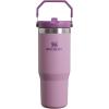 imageStanley IceFlow 20 Flip Straw Tumbler with Handle 30 oz  Twist On Lid and Flip Up Straw  Leak Resistant Water Bottle  Insulated Stainless Steel  BPAFree  ToastLilac