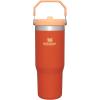 imageStanley IceFlow 20 Flip Straw Tumbler with Handle 30 oz  Twist On Lid and Flip Up Straw  Leak Resistant Water Bottle  Insulated Stainless Steel  BPAFree  ToastTigerlily