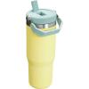 imageStanley IceFlow 20 Flip Straw Tumbler with Handle 30 oz  Twist On Lid and Flip Up Straw  Leak Resistant Water Bottle  Insulated Stainless Steel  BPAFree  ToastPomelo