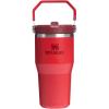 imageStanley IceFlow 20 Flip Straw Tumbler with Handle 30 oz  Twist On Lid and Flip Up Straw  Leak Resistant Water Bottle  Insulated Stainless Steel  BPAFree  ToastChili Red