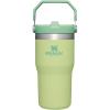 imageStanley IceFlow 20 Flip Straw Tumbler with Handle 30 oz  Twist On Lid and Flip Up Straw  Leak Resistant Water Bottle  Insulated Stainless Steel  BPAFree  ToastCitron