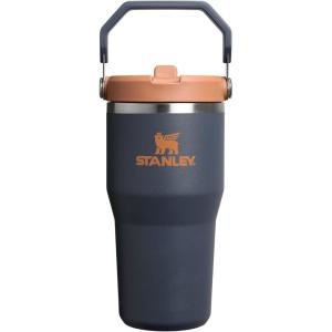 imageStanley IceFlow 20 Flip Straw Tumbler with Handle 30 oz  Twist On Lid and Flip Up Straw  Leak Resistant Water Bottle  Insulated Stainless Steel  BPAFree  ToastTwilight