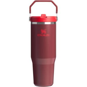 imageStanley IceFlow 20 Flip Straw Tumbler with Handle 30 oz  Twist On Lid and Flip Up Straw  Leak Resistant Water Bottle  Insulated Stainless Steel  BPAFree  ToastCranberry