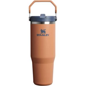 imageStanley IceFlow 20 Flip Straw Tumbler with Handle 30 oz  Twist On Lid and Flip Up Straw  Leak Resistant Water Bottle  Insulated Stainless Steel  BPAFree  ToastToast