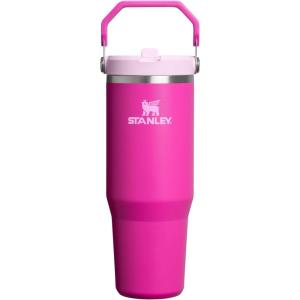 imageStanley IceFlow 20 Flip Straw Tumbler with Handle 30 oz  Twist On Lid and Flip Up Straw  Leak Resistant Water Bottle  Insulated Stainless Steel  BPAFree  ToastViolet Blossom