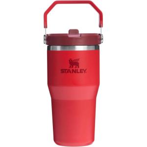 imageStanley IceFlow 20 Flip Straw Tumbler with Handle 30 oz  Twist On Lid and Flip Up Straw  Leak Resistant Water Bottle  Insulated Stainless Steel  BPAFree  ToastChili Red