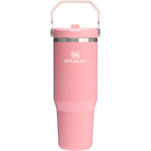 imageStanley IceFlow 20 Flip Straw Tumbler with Handle 30 oz  Twist On Lid and Flip Up Straw  Leak Resistant Water Bottle  Insulated Stainless Steel  BPAFree  ToastSummer Pink Mesa
