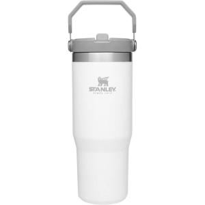 imageStanley IceFlow 20 Flip Straw Tumbler with Handle 30 oz  Twist On Lid and Flip Up Straw  Leak Resistant Water Bottle  Insulated Stainless Steel  BPAFree  ToastPolar