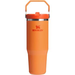 imageStanley IceFlow 20 Flip Straw Tumbler with Handle 30 oz  Twist On Lid and Flip Up Straw  Leak Resistant Water Bottle  Insulated Stainless Steel  BPAFree  ToastGoldenrod Coral