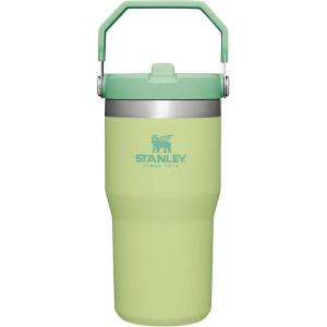 imageStanley IceFlow 20 Flip Straw Tumbler with Handle 30 oz  Twist On Lid and Flip Up Straw  Leak Resistant Water Bottle  Insulated Stainless Steel  BPAFree  ToastCitron