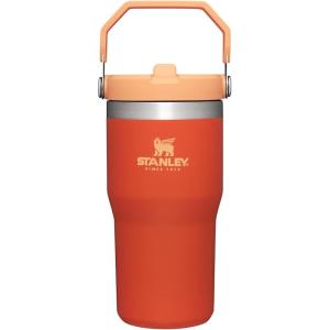 imageStanley IceFlow 20 Flip Straw Tumbler with Handle 30 oz  Twist On Lid and Flip Up Straw  Leak Resistant Water Bottle  Insulated Stainless Steel  BPAFree  ToastTigerlily