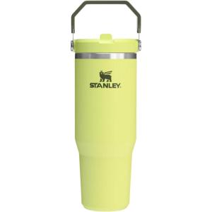imageStanley IceFlow 20 Flip Straw Tumbler with Handle 30 oz  Twist On Lid and Flip Up Straw  Leak Resistant Water Bottle  Insulated Stainless Steel  BPAFree  ToastSummer Prickly Pear