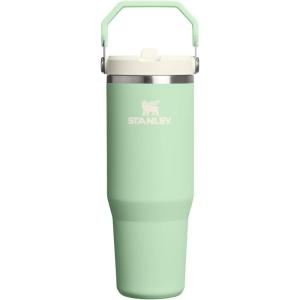 imageStanley IceFlow 20 Flip Straw Tumbler with Handle 30 oz  Twist On Lid and Flip Up Straw  Leak Resistant Water Bottle  Insulated Stainless Steel  BPAFree  ToastPistachio
