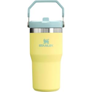 imageStanley IceFlow 20 Flip Straw Tumbler with Handle 30 oz  Twist On Lid and Flip Up Straw  Leak Resistant Water Bottle  Insulated Stainless Steel  BPAFree  ToastPomelo