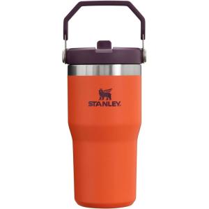 imageStanley IceFlow 20 Flip Straw Tumbler with Handle 30 oz  Twist On Lid and Flip Up Straw  Leak Resistant Water Bottle  Insulated Stainless Steel  BPAFree  ToastTigerlily Plum
