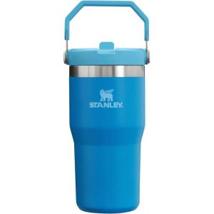 imageStanley IceFlow 20 Flip Straw Tumbler with Handle 30 oz  Twist On Lid and Flip Up Straw  Leak Resistant Water Bottle  Insulated Stainless Steel  BPAFree  ToastAzure