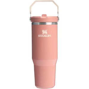 imageStanley IceFlow 20 Flip Straw Tumbler with Handle 30 oz  Twist On Lid and Flip Up Straw  Leak Resistant Water Bottle  Insulated Stainless Steel  BPAFree  ToastExclusive Sienna