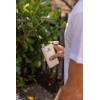imageStanley Classic Easy Fill Wide Mouth Flask 8 oz  Leakproof Hip Flask  Hinge Connected Never Lose Cap  Insulated Stainless Steel Liquor Container  BPAFree  Wisteria ShineCream Gloss