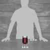 imageStanley GO Everyday Wine Tumbler 10 oz  Press Fit Drink Through Lid  Beverage Coffee and Cocktail Cup  Insulated Stainless Steel Wine Glass  BPAFree  PolarWine