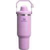 imageStanley IceFlow 20 Fast Flow Tumbler with Handle 30 oz  Twist On Angled Spout Lid  Leakproof Water Bottle  Insulated Stainless Steel  BPAFree  MeadowLilac