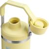 imageStanley IceFlow 20 Fast Flow Tumbler with Handle 30 oz  Twist On Angled Spout Lid  Leakproof Water Bottle  Insulated Stainless Steel  BPAFree  MeadowPomelo