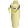 imageStanley IceFlow 20 Fast Flow Tumbler with Handle 30 oz  Twist On Angled Spout Lid  Leakproof Water Bottle  Insulated Stainless Steel  BPAFree  MeadowPomelo