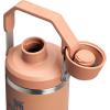 imageStanley IceFlow 20 Fast Flow Tumbler with Handle 30 oz  Twist On Angled Spout Lid  Leakproof Water Bottle  Insulated Stainless Steel  BPAFree  MeadowToast