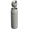 imageStanley IceFlow Cap and Carry Water Bottle  Wide Mouth Twist Lid  Lightweight ampamp Leakproof for Travel ampamp Sports  Insulated Stainless Steel  BPAFreeAsh