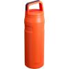 imageStanley IceFlow Cap and Carry Water Bottle  Wide Mouth Twist Lid  Lightweight ampamp Leakproof for Travel ampamp Sports  Insulated Stainless Steel  BPAFreeTigerlily Plum
