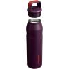 imageStanley IceFlow Cap and Carry Water Bottle  Wide Mouth Twist Lid  Lightweight ampamp Leakproof for Travel ampamp Sports  Insulated Stainless Steel  BPAFreePlum