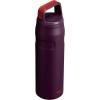 imageStanley IceFlow Cap and Carry Water Bottle  Wide Mouth Twist Lid  Lightweight ampamp Leakproof for Travel ampamp Sports  Insulated Stainless Steel  BPAFreePlum
