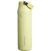 imageStanley IceFlow Flip Straw 20 Water Bottle 24 oz  BuiltIn Straw for Travel and Sports  Lightweight and Leak Resistant  Insulated Stainless Steel  BPAFree  Strawberry CreamPomelo