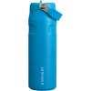 imageStanley IceFlow Flip Straw 20 Water Bottle 24 oz  BuiltIn Straw for Travel and Sports  Lightweight and Leak Resistant  Insulated Stainless Steel  BPAFree  Strawberry CreamAzure
