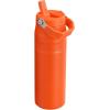 imageStanley IceFlow Flip Straw 20 Water Bottle 24 oz  BuiltIn Straw for Travel and Sports  Lightweight and Leak Resistant  Insulated Stainless Steel  BPAFree  Strawberry CreamTigerlily Plum