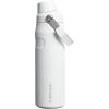 imageStanley IceFlow Flip Straw 20 Water Bottle 24 oz  BuiltIn Straw for Travel and Sports  Lightweight and Leak Resistant  Insulated Stainless Steel  BPAFree  Strawberry CreamFrost