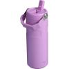 imageStanley IceFlow Flip Straw 20 Water Bottle 24 oz  BuiltIn Straw for Travel and Sports  Lightweight and Leak Resistant  Insulated Stainless Steel  BPAFree  Strawberry CreamLilac