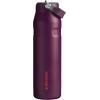 imageStanley IceFlow Flip Straw 20 Water Bottle 24 oz  BuiltIn Straw for Travel and Sports  Lightweight and Leak Resistant  Insulated Stainless Steel  BPAFree  Strawberry CreamPlum