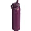 imageStanley IceFlow Flip Straw 20 Water Bottle 24 oz  BuiltIn Straw for Travel and Sports  Lightweight and Leak Resistant  Insulated Stainless Steel  BPAFree  Strawberry CreamPlum