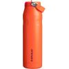 imageStanley IceFlow Flip Straw 20 Water Bottle 24 oz  BuiltIn Straw for Travel and Sports  Lightweight and Leak Resistant  Insulated Stainless Steel  BPAFree  Strawberry CreamTigerlily Plum