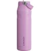imageStanley IceFlow Flip Straw 20 Water Bottle 24 oz  BuiltIn Straw for Travel and Sports  Lightweight and Leak Resistant  Insulated Stainless Steel  BPAFree  Strawberry CreamLilac