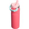 imageStanley IceFlow Flip Straw 20 Water Bottle 24 oz  BuiltIn Straw for Travel and Sports  Lightweight and Leak Resistant  Insulated Stainless Steel  BPAFree  Strawberry CreamWatermelon