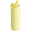 imageStanley IceFlow Flip Straw 20 Water Bottle 24 oz  BuiltIn Straw for Travel and Sports  Lightweight and Leak Resistant  Insulated Stainless Steel  BPAFree  Strawberry CreamPomelo