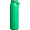 imageStanley IceFlow Flip Straw 20 Water Bottle 24 oz  BuiltIn Straw for Travel and Sports  Lightweight and Leak Resistant  Insulated Stainless Steel  BPAFree  Strawberry CreamMeadow