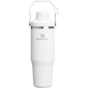 imageStanley IceFlow 20 Fast Flow Tumbler with Handle 30 oz  Twist On Angled Spout Lid  Leakproof Water Bottle  Insulated Stainless Steel  BPAFree  MeadowFrost